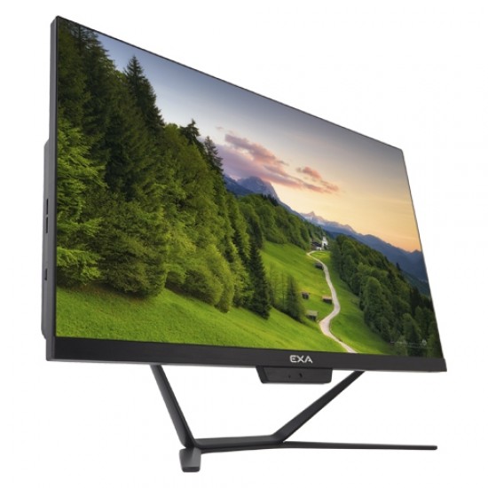 EXA AIO H24S C31 i3-10100 8GB 256GB 23.8DOS Siyah