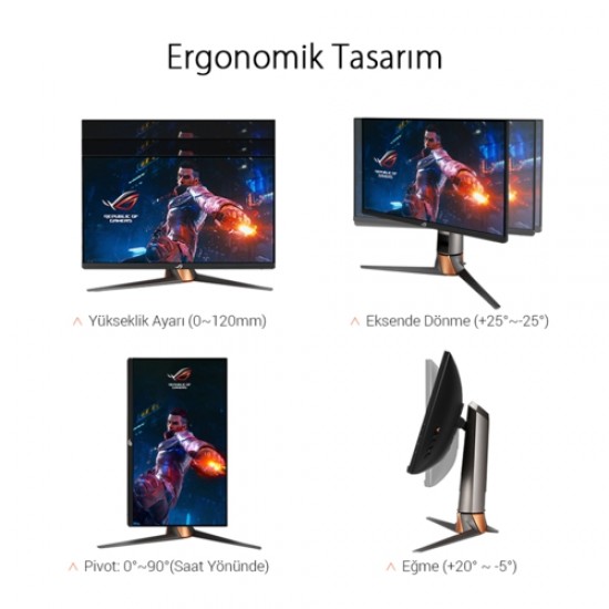 Asus 24.5 PG259QNR IPS Gaming Monitör 1ms Siyah